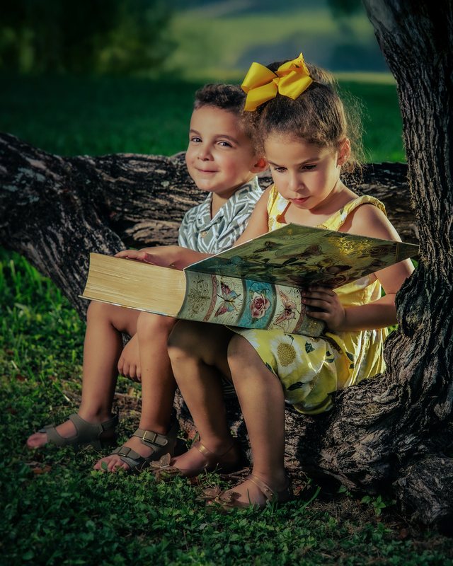 Two children sharing a book beneath a tree.